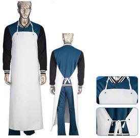 China PVC Butcher Style Protective Clothing Aprons Reusable Oil Resistant Waterproof supplier